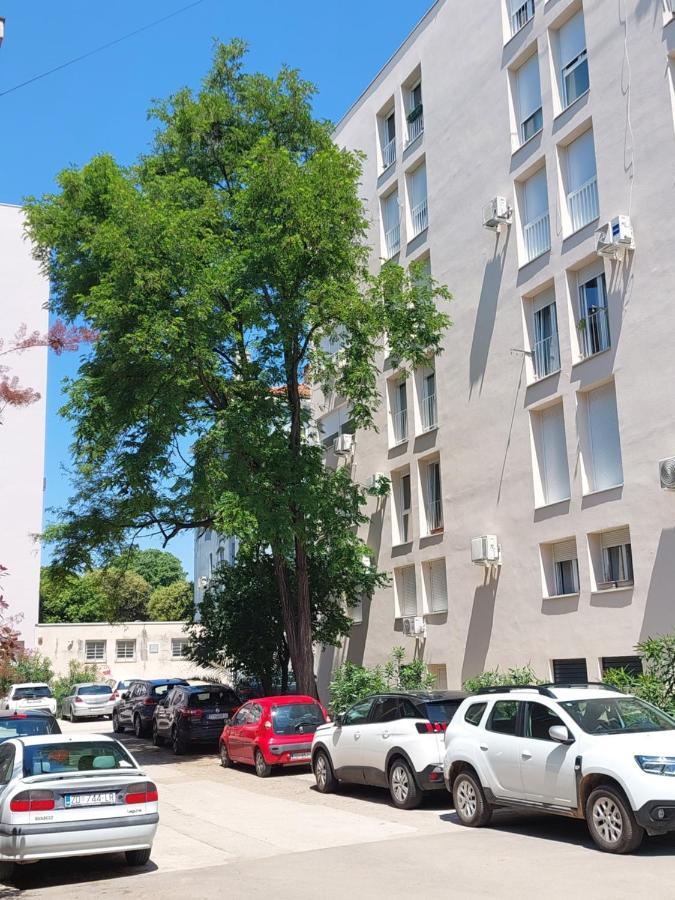 Marinero Apartment Zadar Eksteriør billede